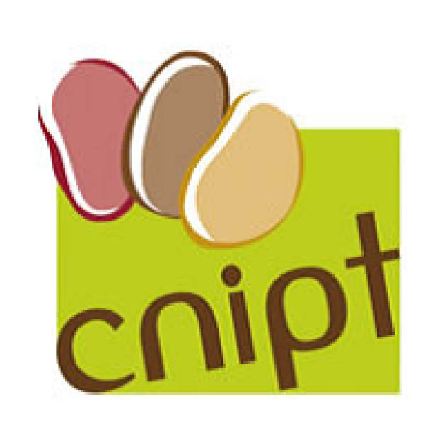 cnipt site